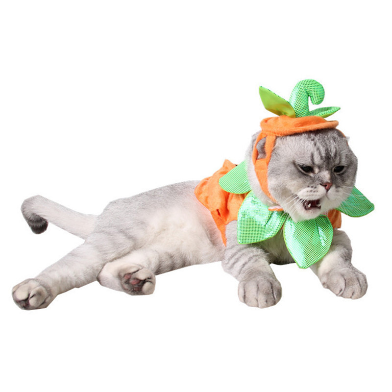 Halloween Night Pet Supplies Christmas Pet Clothes Pumpkin Shaped Suit Dog Hat Cat Ornament, Green
Halloween Night Pet Supplies Christmas Pet Clothes Pumpkin Shaped Suit Dog Hat Cat Ornament, Green