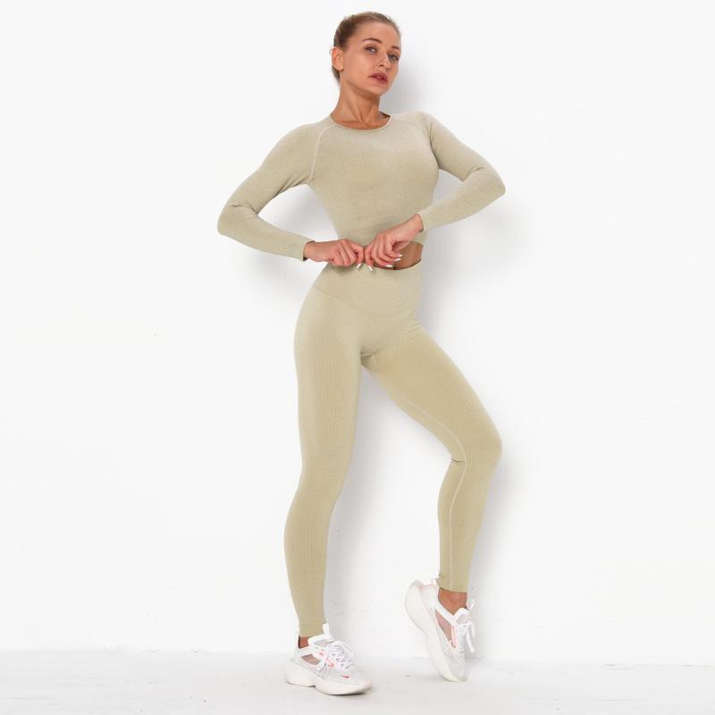 Seamless Long-sleeve Yoga Suit Hip Lift Fitness Suit Sports Female GYM Tight Leggings with Shirt High Waist Running Set, 04
Seamless Long-sleeve Yoga Suit Hip Lift Fitness Suit Sports Female GYM Tight Leggings with Shirt High Waist Running Set, 04
