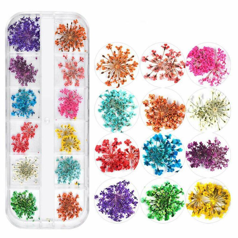 12 Colors Dry Dried Flower 3D Nail Art Decorations Natural Floral Sticker Manicure Accessories Nail Decor
12 Colors Dry Dried Flower 3D Nail Art Decorations Natural Floral Sticker Manicure Accessories Nail Decor