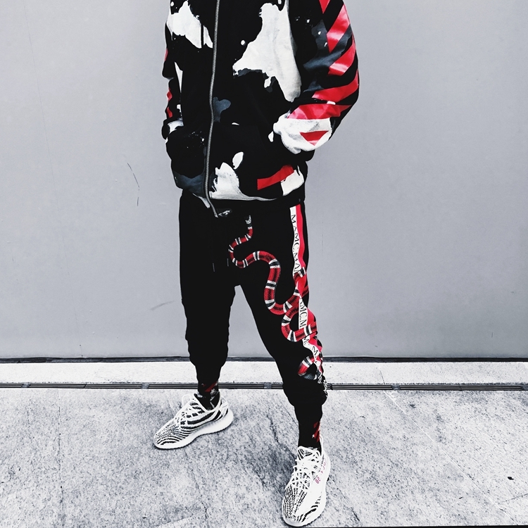 YEELOCA High Quality Coral Snake Print Hip Hop Trousers Harajuku Cotton Streetwear Jogger Sports Harem Pants 200925