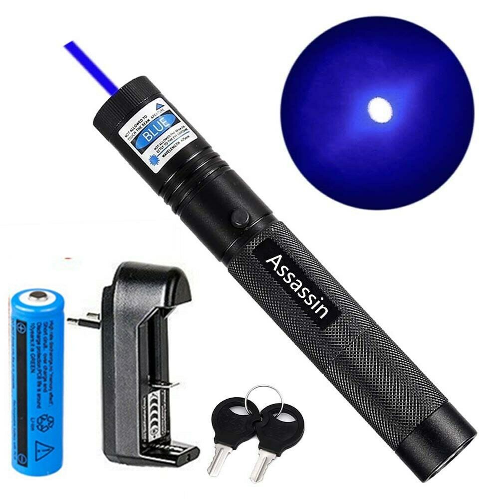 2PACK 301 Powerful Blue Violet Laser Pen Pointer 405nm Beam Light Teaching Focus Laser Pen+ 18650 button top Battery + Charger
