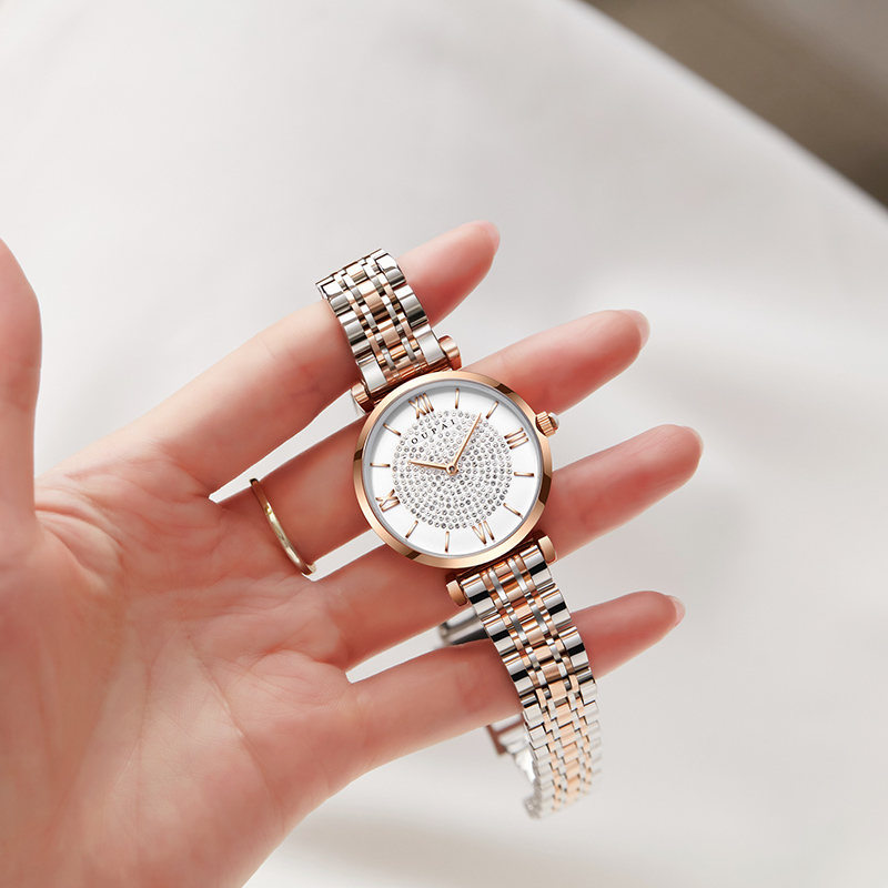 OUPAI Babysbreath Diamond Classic Luxury Watch Lady Waterproof Quiz Watch Women Stainless Steel Bracelet Rose Golden, Rosegolden classic
OUPAI Babysbreath Diamond Classic Luxury Watch Lady Waterproof Quiz Watch Women Stainless Steel Bracelet Rose Golden, Rosegolden classic