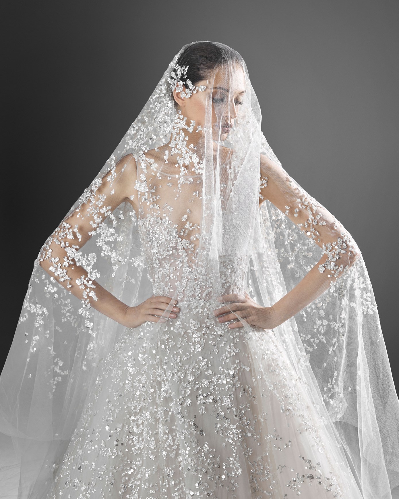 2021 Zuhair Murad A Line Wedding Dresses Sexy Sheer Neck Bling Lace Appliques Sweep Train Plus Size Backless Wedding Robe De Mariée