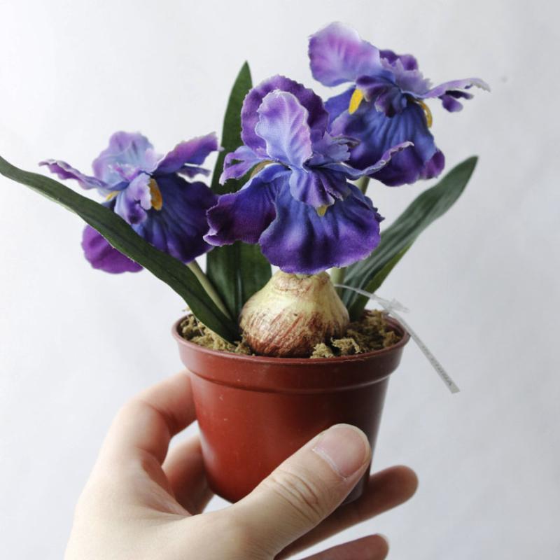 Minir artificial bonsai Iris Silk Flowers bonsai plants Artificial Flowe for Wedding Home Party Decorative, White
Minir artificial bonsai Iris Silk Flowers bonsai plants Artificial Flowe for Wedding Home Party Decorative, White