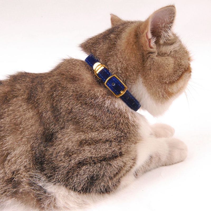 Accessoires With Bell Cat Collar Safety Collars Puppy Dog Collar For Cats Small Dogs Kittens Solid Pet Chihuahua Necklace Produc
Accessoires With Bell Cat Collar Safety Collars Puppy Dog Collar For Cats Small Dogs Kittens Solid Pet Chihuahua Necklace Produc