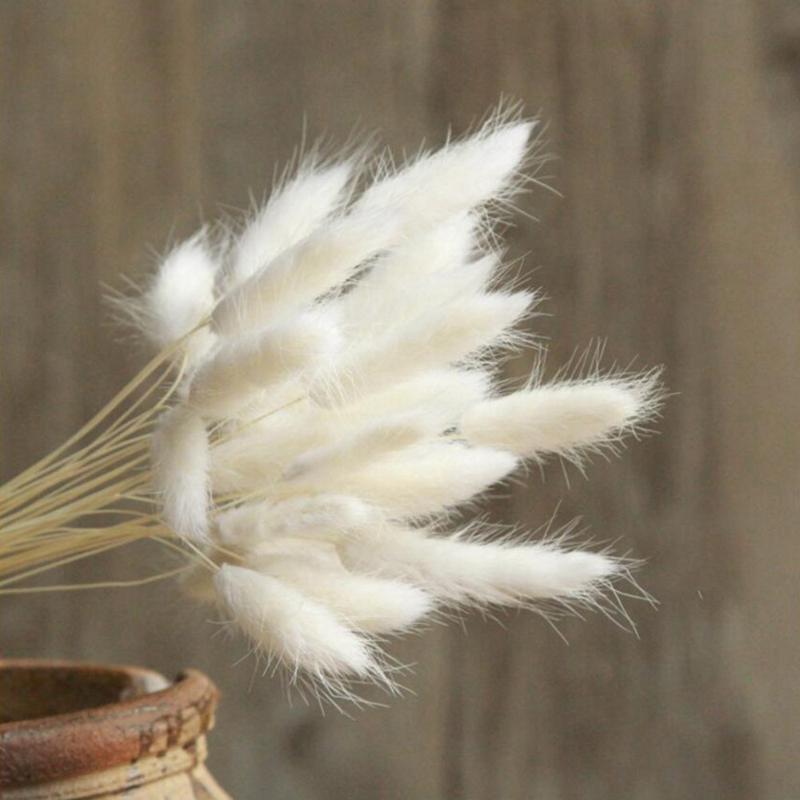 50pc Tail Grass Natural Pampas Grass Dried Flower Bouquet Home Decoration Accessories Artificial Flowers Natural Plants