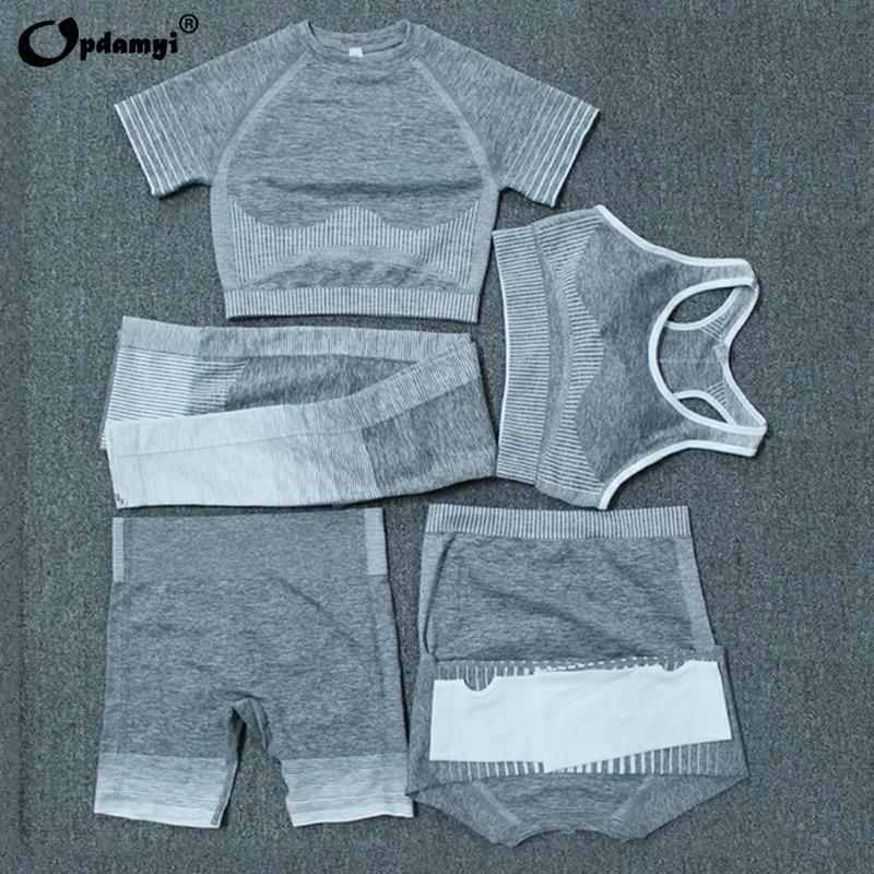 Women Vital Seamless Yoga Set Workout Sport Wear Short/Long Sleeve Crop Top High Waist Leggings Gym Clothes Yoga Activewear Suit, Orange shorts
Women Vital Seamless Yoga Set Workout Sport Wear Short/Long Sleeve Crop Top High Waist Leggings Gym Clothes Yoga Activewear Suit, Orange shorts
