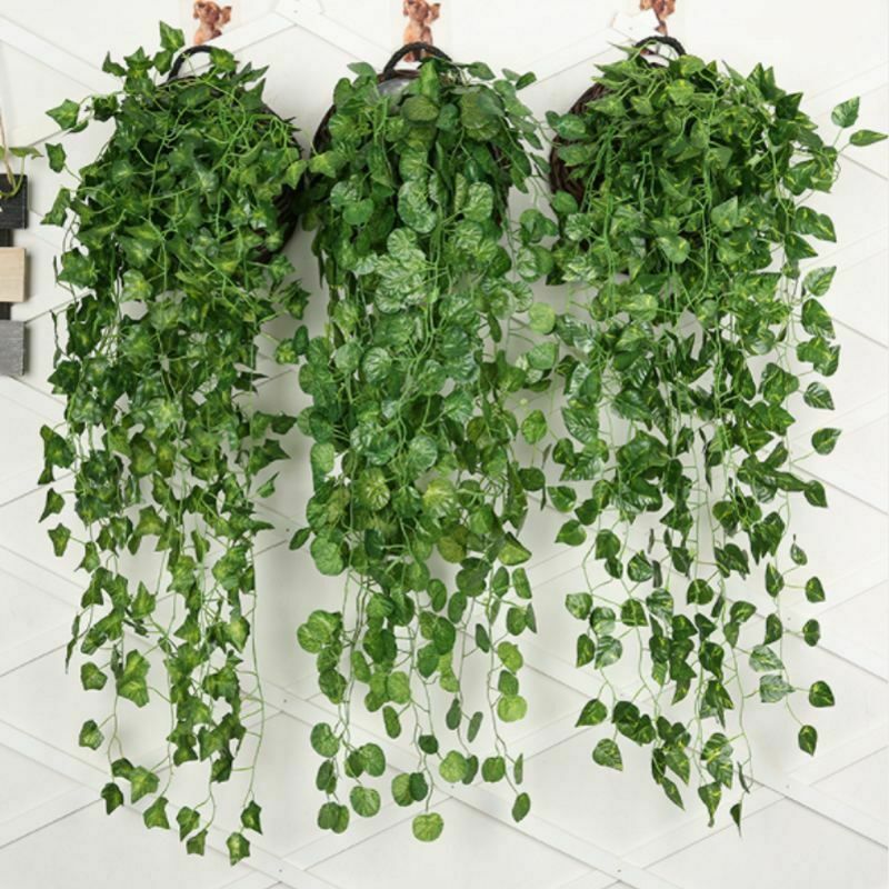 B-Artificial Plants Fake Scindapsus Creeper Lotus Leaves Vine Watermelon Hanging Garland for Home Wedding Wall Party Decor
B-Artificial Plants Fake Scindapsus Creeper Lotus Leaves Vine Watermelon Hanging Garland for Home Wedding Wall Party Decor