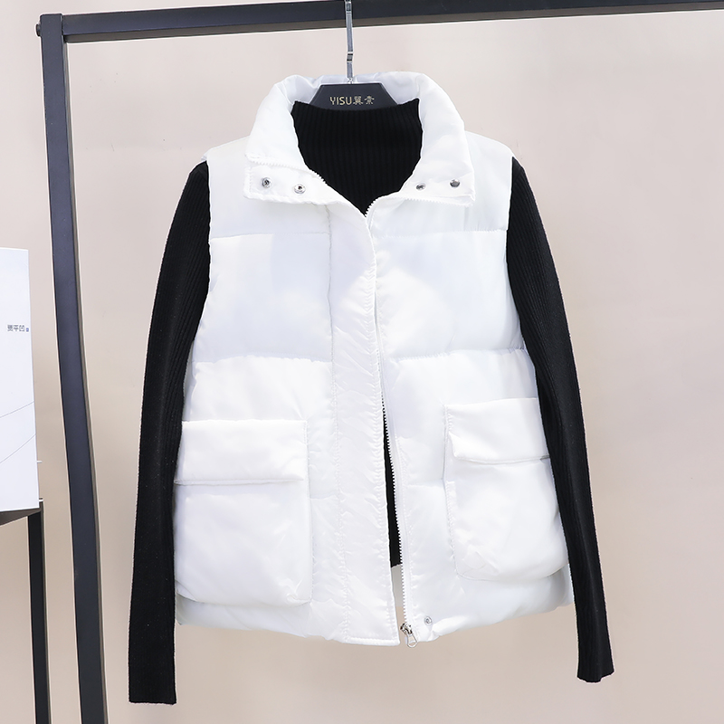 Women Oversize waistcoat Vest 6 colors 2020 Winter New Korean Zipper Vest Female Fashion Solid color Waist Cotton Jacket, Black
Women Oversize waistcoat Vest 6 colors 2020 Winter New Korean Zipper Vest Female Fashion Solid color Waist Cotton Jacket, Black