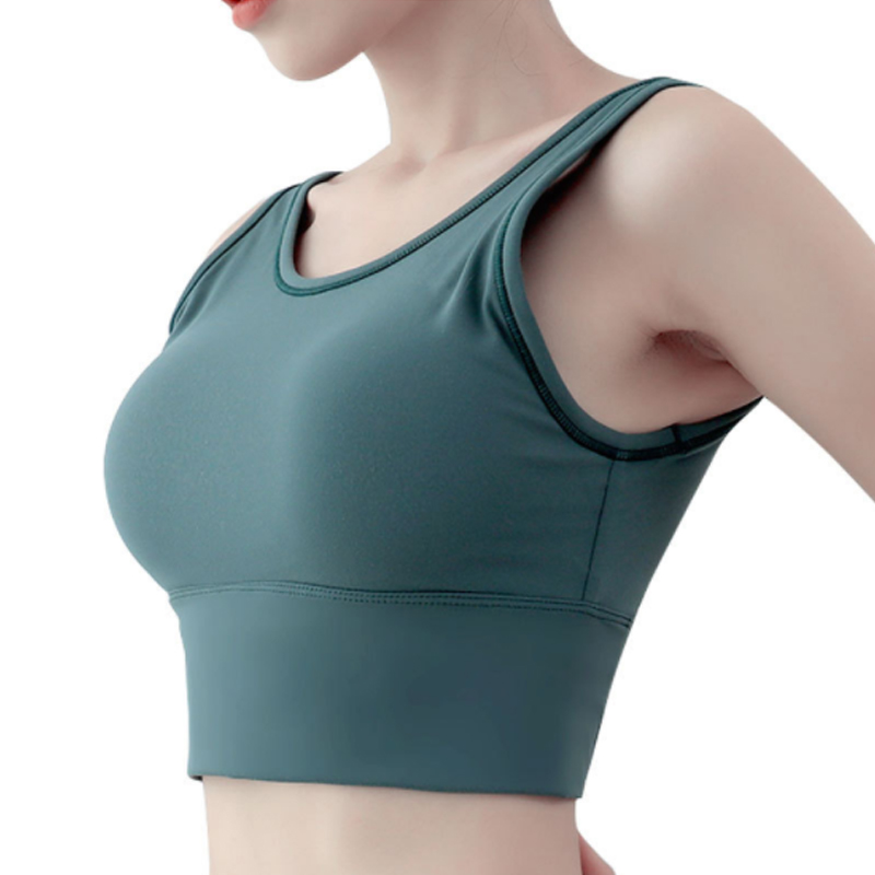 Pitidrogo Women Fitness Athletic Exercise Running Bra Yoga Tops Workout Sports Bras 1139, Blue
Pitidrogo Women Fitness Athletic Exercise Running Bra Yoga Tops Workout Sports Bras 1139, Blue