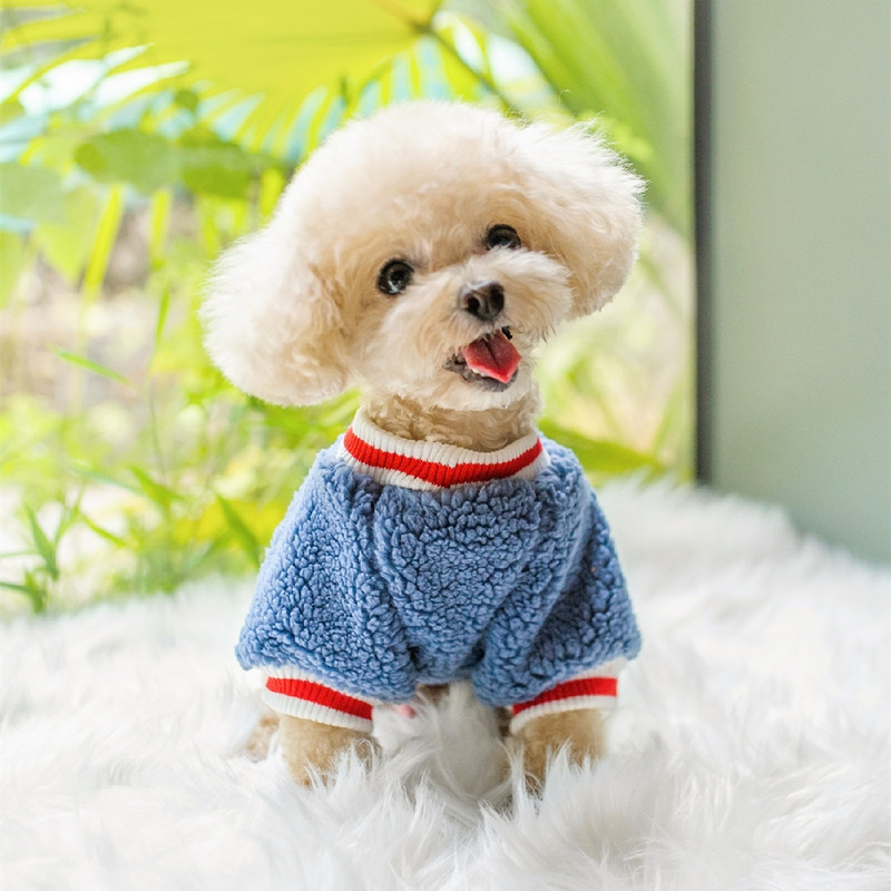 Saturday Clothes For Soft Autumn Winter Pet Cat Small Medium Animal Puppies Dog Coat Jacket Shirt Chihuahuaha PoodleDog Apparel