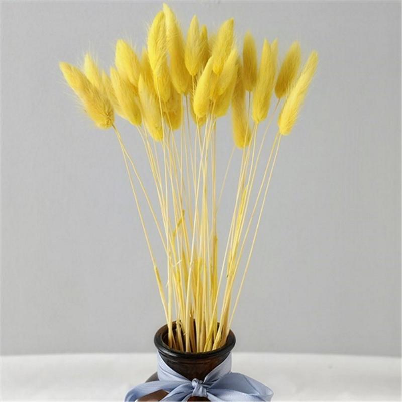 50 pcs pink color dried pampas flowers tail grass bouquets Lagurus Ovatus natural plants home wedding decor bunches