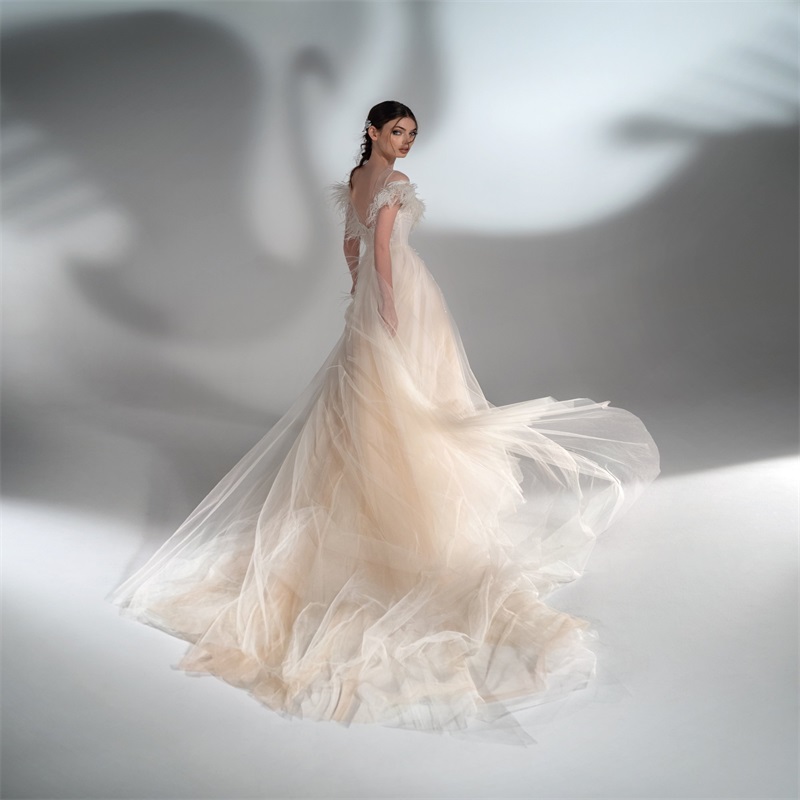 Papilio A-line Gorgeous Wedding Dresses 2025 Newest Illusion Feather Appliqued Ruched Tulle Bridal Gown Church Robes De Marine