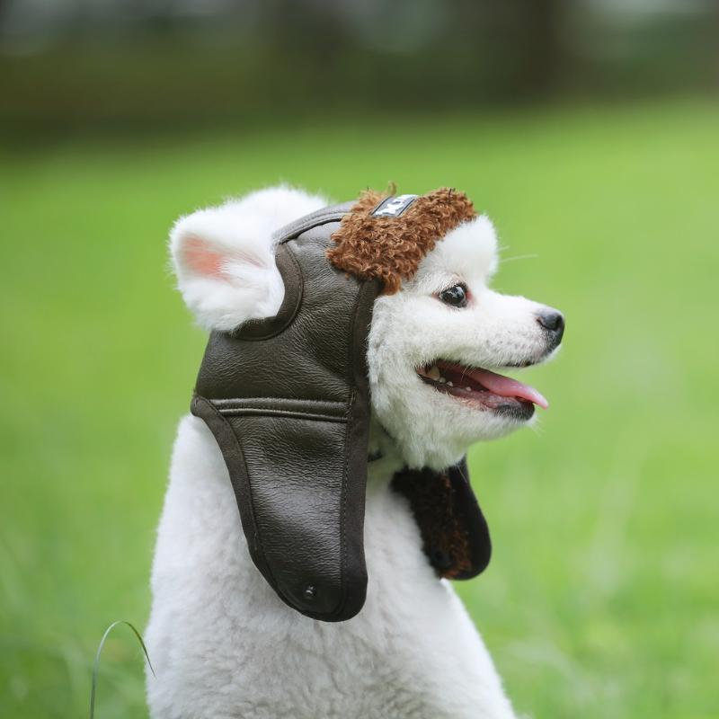 Newest Autumn Winter Style Cute Cap Pet Costume Cosplay Windproof Pilot Hat for Small Medium Large Dogs
Newest Autumn Winter Style Cute Cap Pet Costume Cosplay Windproof Pilot Hat for Small Medium Large Dogs