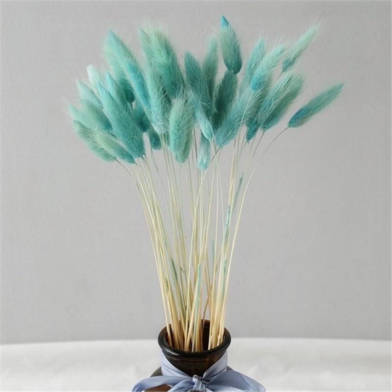 50 pcs pink color dried pampas flowers tail grass bouquets Lagurus Ovatus natural plants home wedding decor bunches