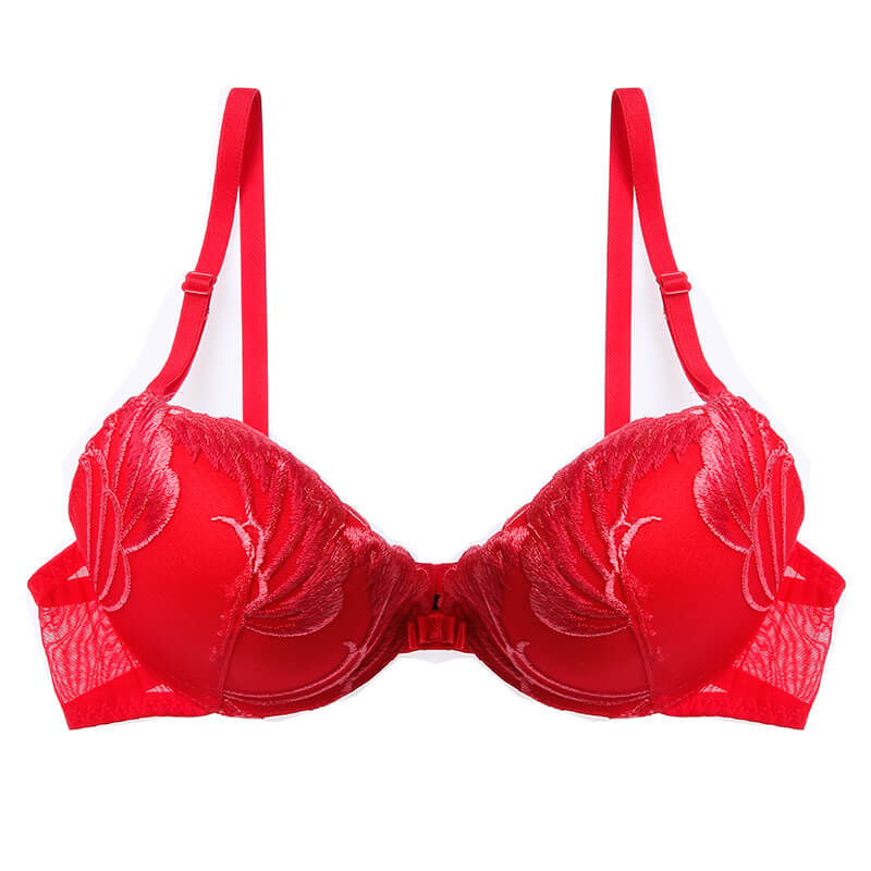 Lilymoda Sexy 3/4 Cup Push Up Bras Lingerie Women's Underwear Intimates Embroidery Floral Black Red Blue Grey Bra Brassiere Soft
Lilymoda Sexy 3/4 Cup Push Up Bras Lingerie Women's Underwear Intimates Embroidery Floral Black Red Blue Grey Bra Brassiere Soft