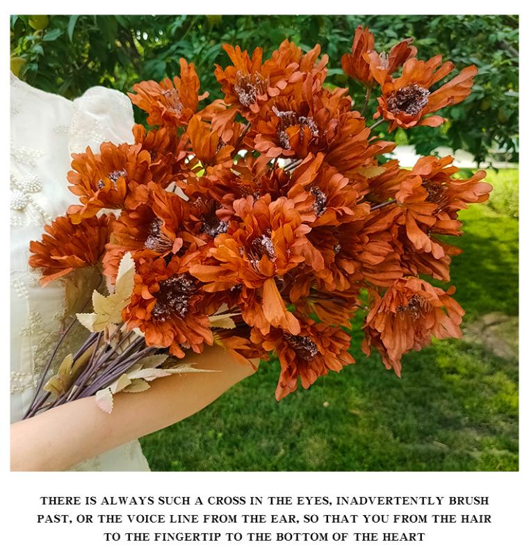 10Pcs Chrysanthemum Wedding Party Decoration Silk Artificial Flower Bouquet Home Decor Fake Flower Handmade 6 Heads Flowers Gift, 10pcs white
10Pcs Chrysanthemum Wedding Party Decoration Silk Artificial Flower Bouquet Home Decor Fake Flower Handmade 6 Heads Flowers Gift, 10pcs white