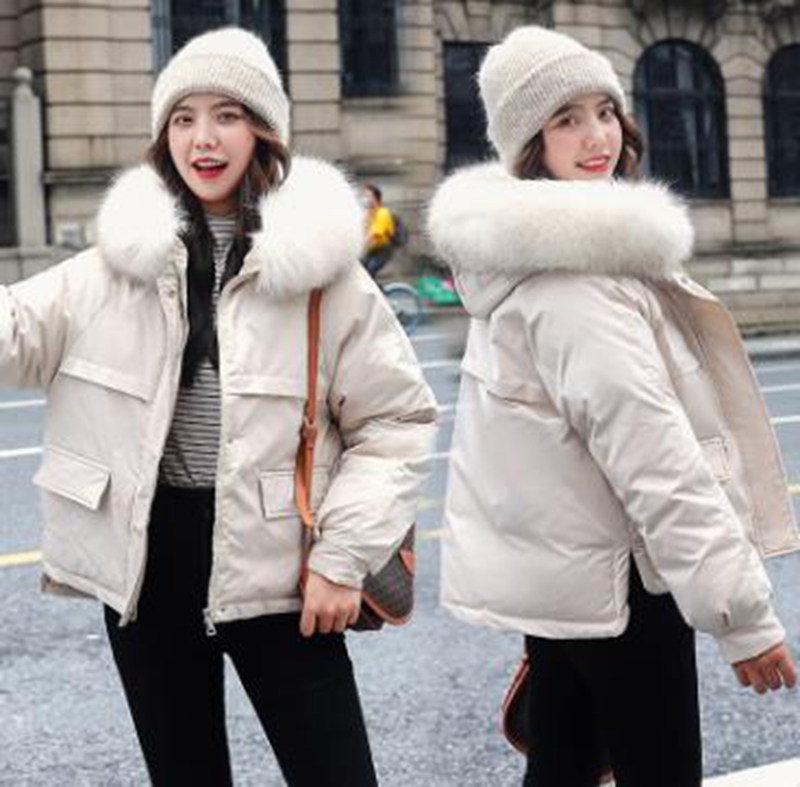 Wholesale winter new style big fur collar down padded jacket women short student loose bread jacket, Coffee
Wholesale winter new style big fur collar down padded jacket women short student loose bread jacket, Coffee