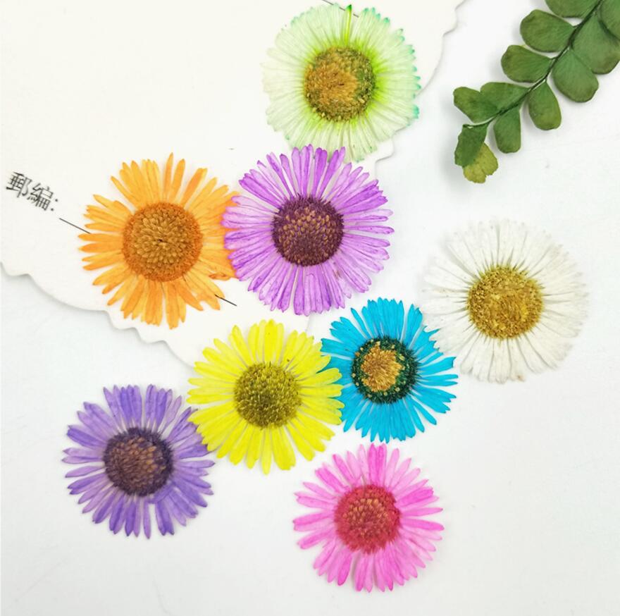 120pcs 15mm Pressed Dried Conyza canadensis Dry Plants For Nail art Epoxy Resin Pendant Necklace Jewelry Making Craft DIY Accessories, Same as picture
120pcs 15mm Pressed Dried Conyza canadensis Dry Plants For Nail art Epoxy Resin Pendant Necklace Jewelry Making Craft DIY Accessories, Same as picture