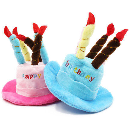 Pet Dog Cat Party Hat Teddy Party, Blue