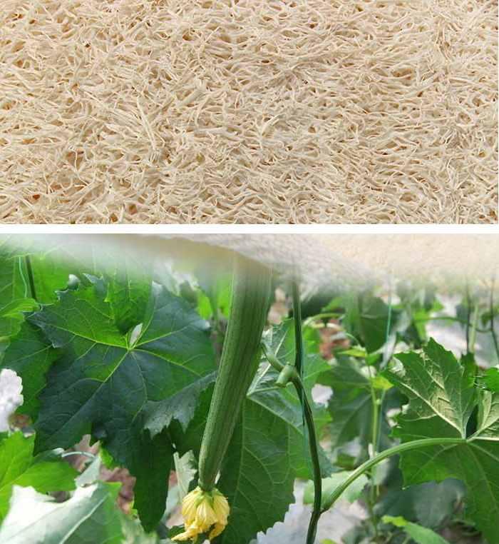 Whole 1 Pc Soft Fresh Natural Loofah Luffa Sponge Shower Spa Body Scrubber Exfoliator Bathing Massage Brush Pad Beige1774562