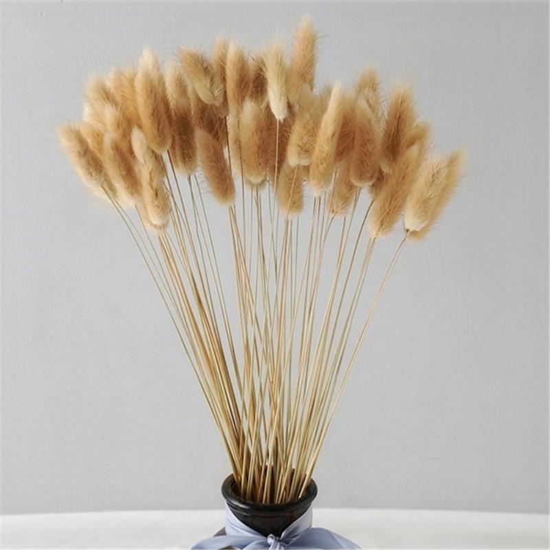 50 pcs pink color dried pampas flowers tail grass bouquets Lagurus Ovatus natural plants home wedding decor bunches