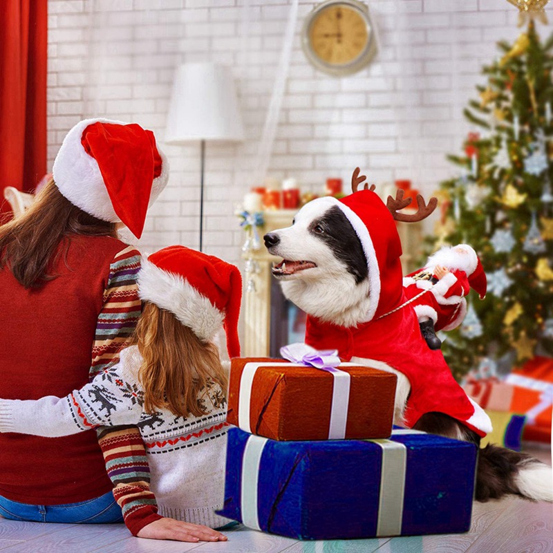 dog santa costume hoodie red Santa Cosplay Outfit For Christmas Carnival Pet Costumes Apparel Party Dogs Dressing Up Clothing, As pic
dog santa costume hoodie red Santa Cosplay Outfit For Christmas Carnival Pet Costumes Apparel Party Dogs Dressing Up Clothing, As pic