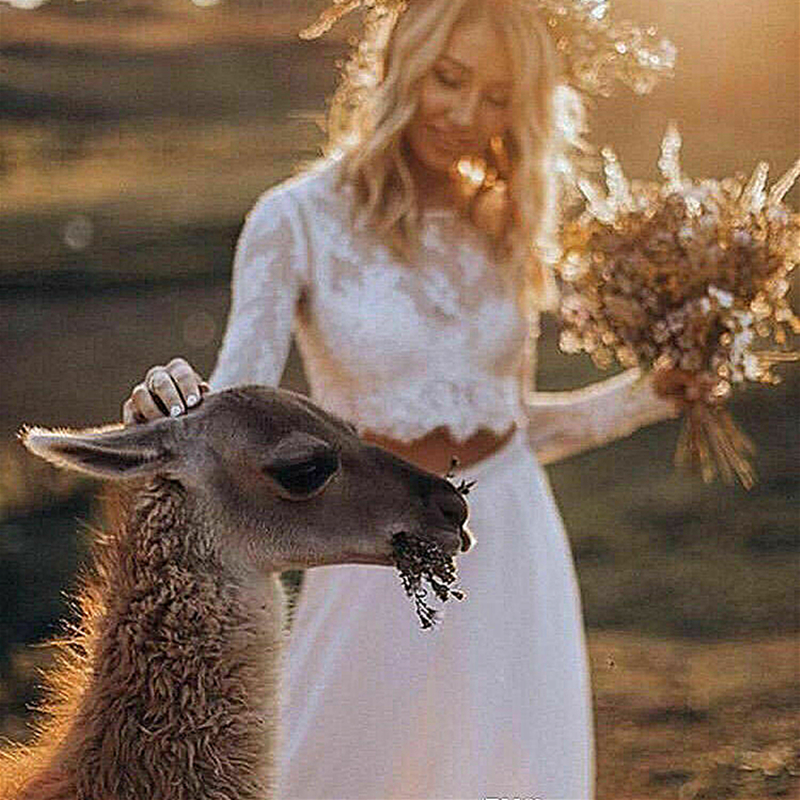 Rustic Two Piece Wedding Dresses Cheap Lace Chiffon Boho Beach Bridal Gowns Long Sleeves Illusion Country Bride Dress Vestidos De Novia