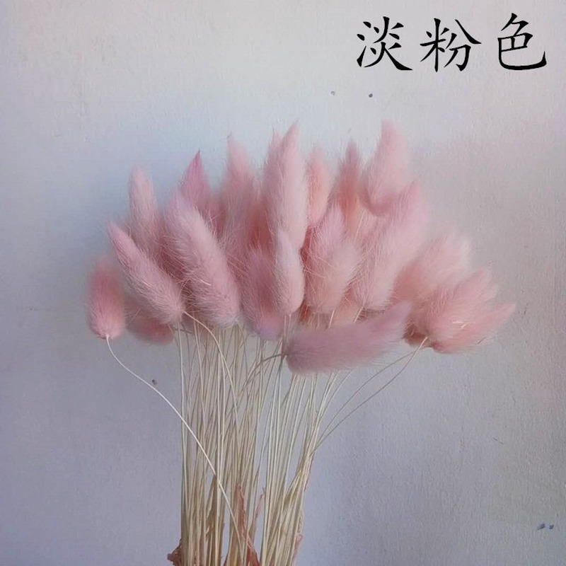 50pc Tail Grass Natural Pampas Grass Dried Flower Bouquet Home Decoration Accessories Artificial Flowers Natural Plants