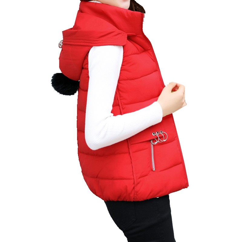 2020 Autumn Winter Women Hooded Down Cotton Vest Jacket Warm Casual Cotton Padded Vest female Slim Sleeveless Waistcoat coat, Brown
2020 Autumn Winter Women Hooded Down Cotton Vest Jacket Warm Casual Cotton Padded Vest female Slim Sleeveless Waistcoat coat, Brown