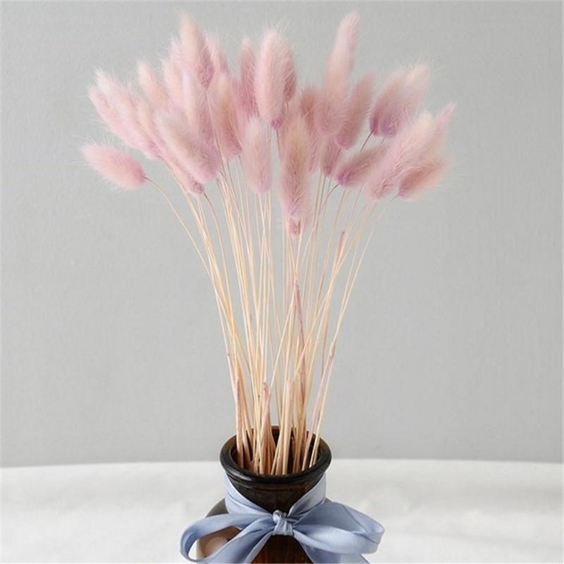 50 pcs pink color dried pampas flowers tail grass bouquets Lagurus Ovatus natural plants home wedding decor bunches