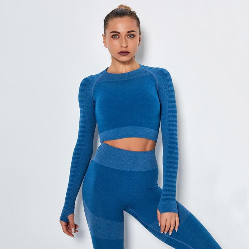 Seamless Yoga Shorts Crop Top long Stripe Sleeves Shirts for Women Yoga Sports Fitness Gym cloth Workout Tops Sports Shirts
Seamless Yoga Shorts Crop Top long Stripe Sleeves Shirts for Women Yoga Sports Fitness Gym cloth Workout Tops Sports Shirts