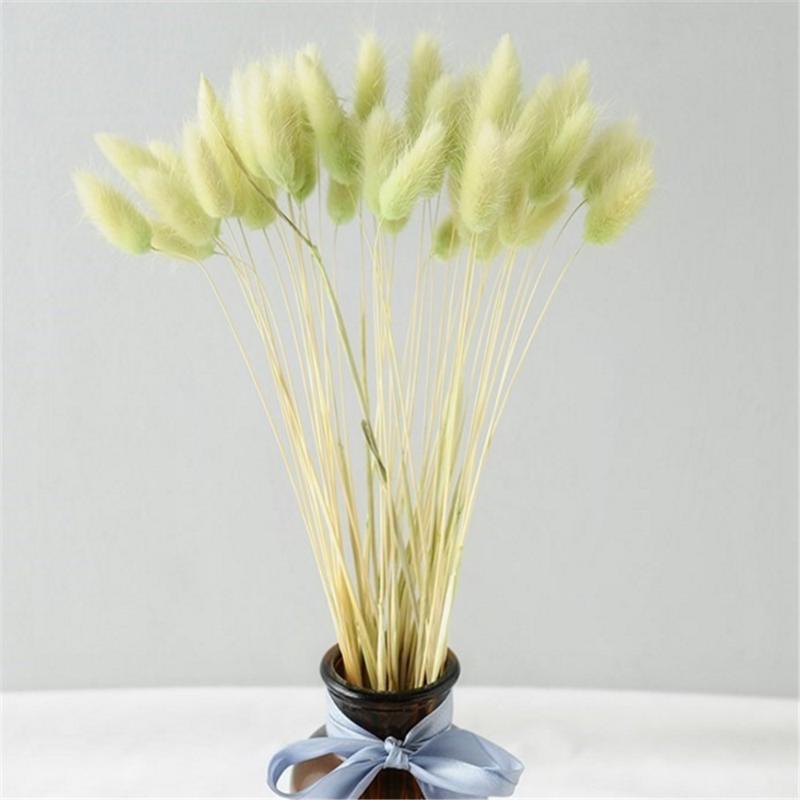 50 pcs pink color dried pampas flowers tail grass bouquets Lagurus Ovatus natural plants home wedding decor bunches