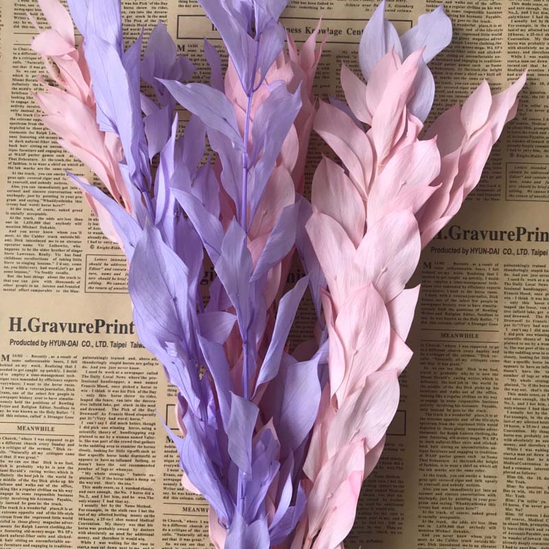 5PCS/35-40CM Natural Dried Orange Leaves Preserved Lily Bamboo Flowers Bouquet,Eternelle Dracaena Reflexa For Home Decor,Wedding, 01
5PCS/35-40CM Natural Dried Orange Leaves Preserved Lily Bamboo Flowers Bouquet,Eternelle Dracaena Reflexa For Home Decor,Wedding, 01