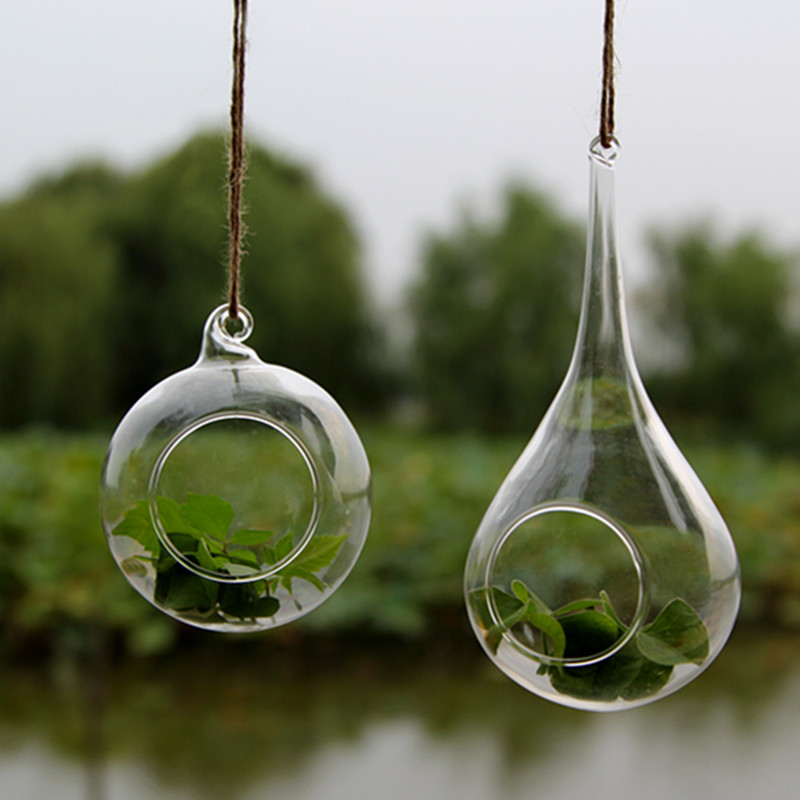 8pcs/pack Hanging Glass Terrarium Set Candle Holder Wedding Live Glass Hanging ball Decoration Terrarium Candle Holder
8pcs/pack Hanging Glass Terrarium Set Candle Holder Wedding Live Glass Hanging ball Decoration Terrarium Candle Holder
