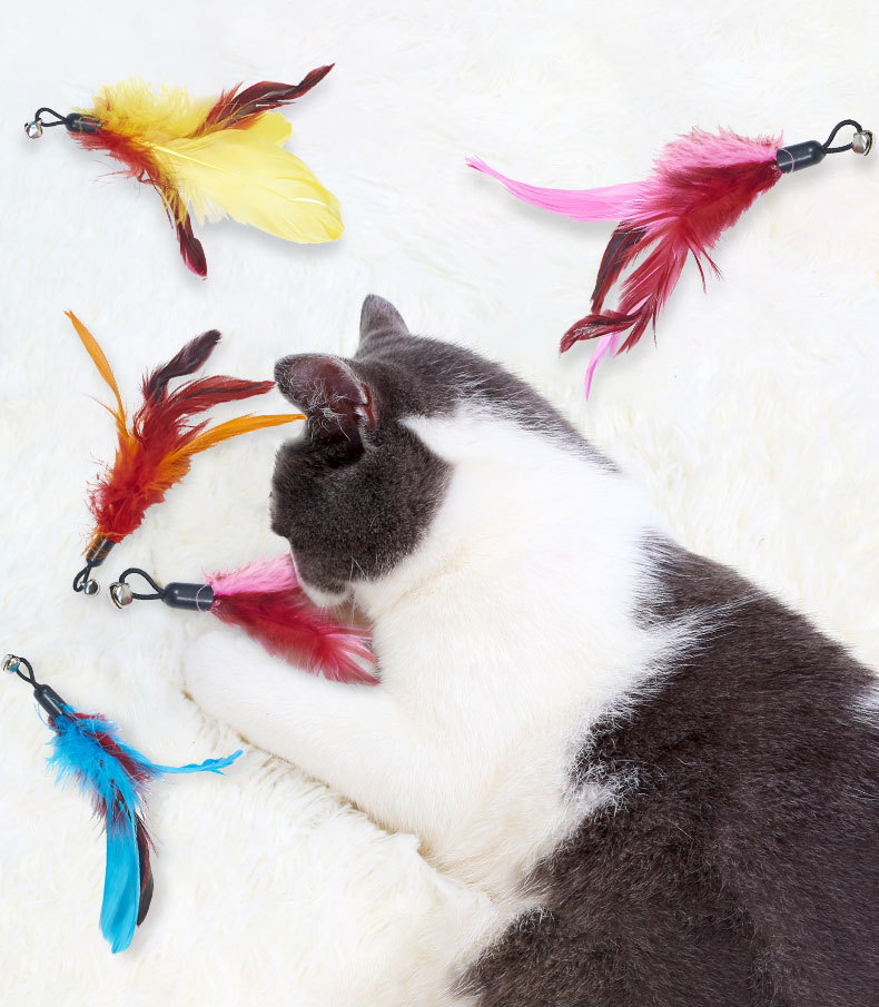 ePackage Shipment Feather Teasing Cat Stick Replacement Plastic Cat Toy Bell Teasing Pet Cat Supplies Feather Replacement 4 options
ePackage Shipment Feather Teasing Cat Stick Replacement Plastic Cat Toy Bell Teasing Pet Cat Supplies Feather Replacement 4 options