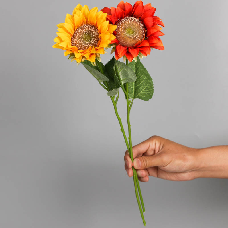 Simulation Sunflower Sunflower Small Simulation Flower Home Decoration Single Plastic Artificial Flower Factory Outlet, Orange
Simulation Sunflower Sunflower Small Simulation Flower Home Decoration Single Plastic Artificial Flower Factory Outlet, Orange
