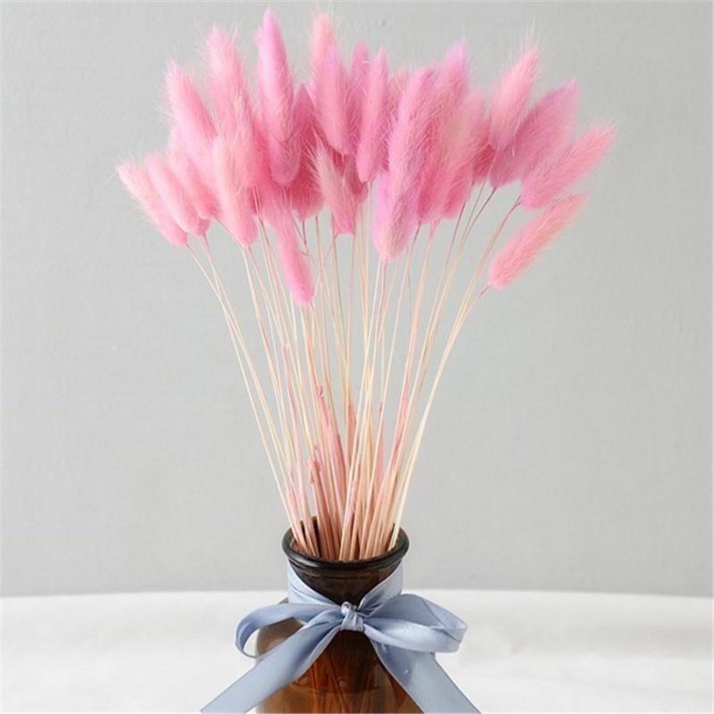 50 pcs pink color dried pampas flowers tail grass bouquets Lagurus Ovatus natural plants home wedding decor bunches