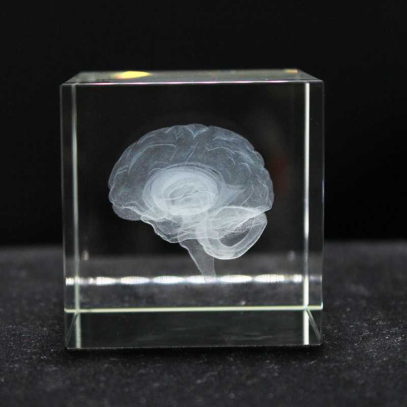 Antique Crystal 3D Brain Model Laser Engraving Brain Sculpture Figurines Home Decoration
Antique Crystal 3D Brain Model Laser Engraving Brain Sculpture Figurines Home Decoration