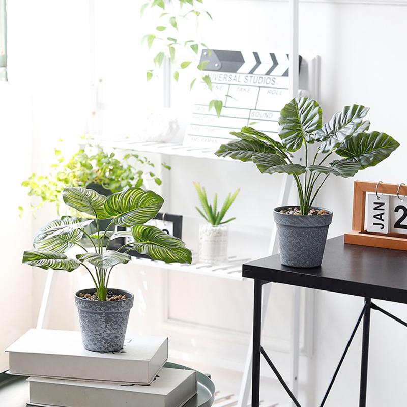 Nordic simulation bonsai potted plants fake flowers simulation flowers home decorations living room indoor desktop decor FZPJ009, As picture
Nordic simulation bonsai potted plants fake flowers simulation flowers home decorations living room indoor desktop decor FZPJ009, As picture