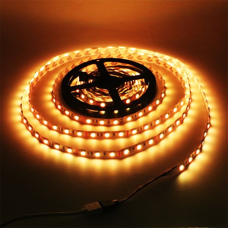 LED Strip Lights 5050 3528 5630 3014 2835 SMD Warm White Red Green Blue RGB Flexible 5M Roll 300 Leds Ribbon Waterproof / Non-waterproof