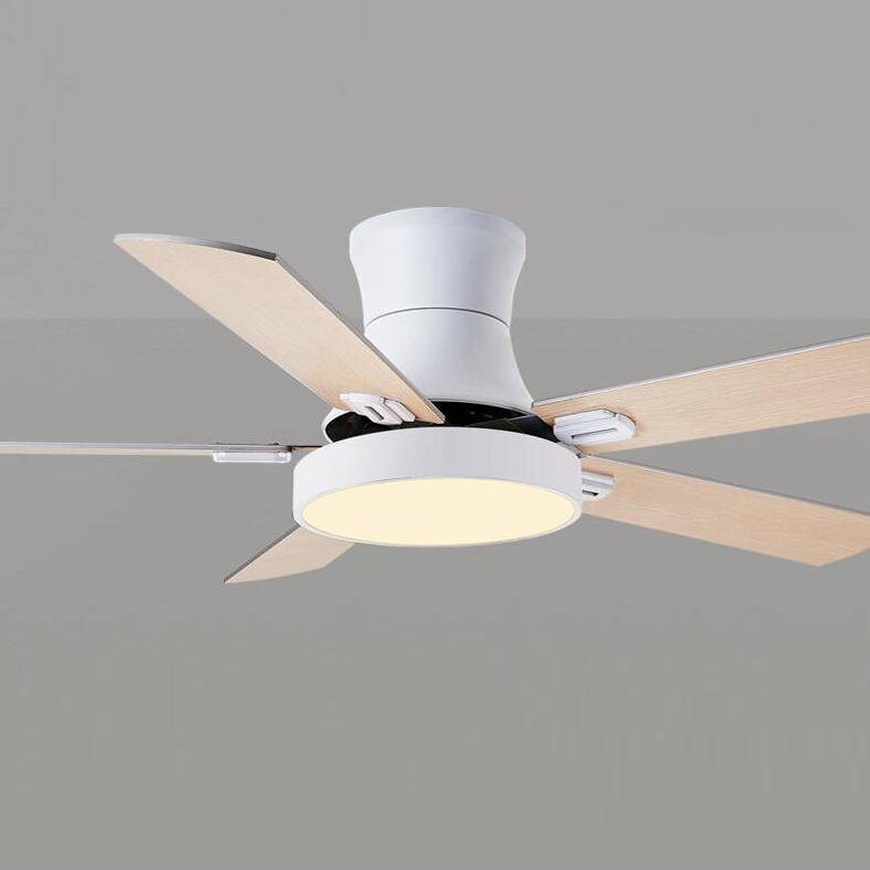 Contemporary Ceiling Fan with Lights 5-Blade LED Ceiling Fan Industrial Modern with Integrated LED Light
Contemporary Ceiling Fan with Lights 5-Blade LED Ceiling Fan Industrial Modern with Integrated LED Light