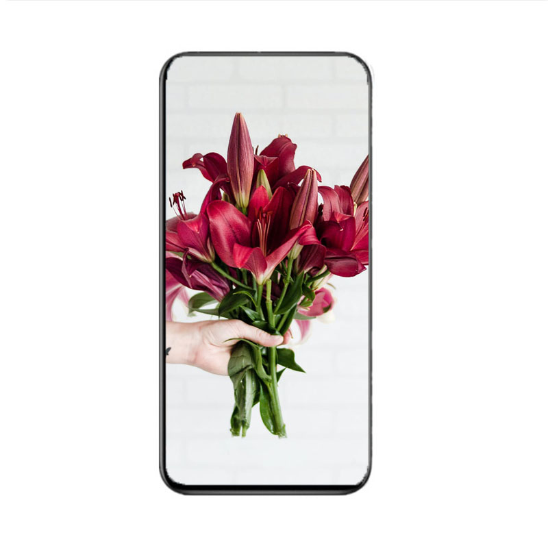 Goophone Q21 Ultra with 1gb ram 16gb rom shows 512gb cellphone in sealed box
Goophone Q21 Ultra with 1gb ram 16gb rom shows 512gb cellphone in sealed box