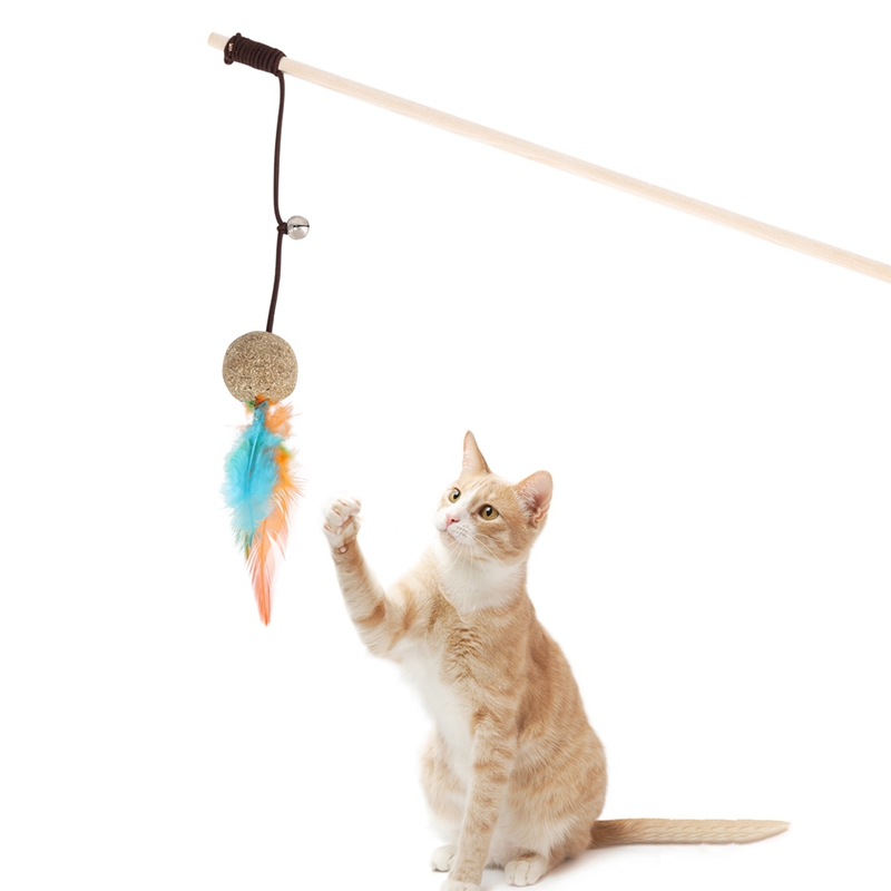 Pet Cat Toy Feather Cute Mice Design Interactive Toys For Cats Funny Teaser cat Catnip Toy kitten Interactive Wand Supplies
Pet Cat Toy Feather Cute Mice Design Interactive Toys For Cats Funny Teaser cat Catnip Toy kitten Interactive Wand Supplies