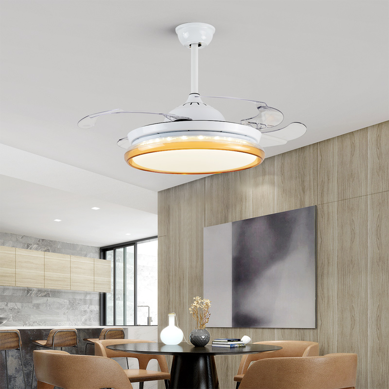 LED Hidden Invisible Iron ABS Acryl Remote Control Ceiling Fan Ceiling Lights. Lamp For Foyer
LED Hidden Invisible Iron ABS Acryl Remote Control Ceiling Fan Ceiling Lights. Lamp For Foyer