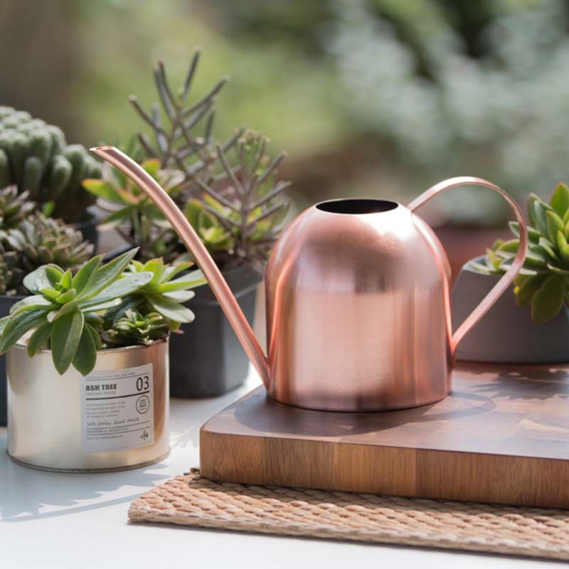 Watering Equipments European Gardening Water Can Stainless Steel 500ml Kettle Bottle Flower R9UC, Gold
Watering Equipments European Gardening Water Can Stainless Steel 500ml Kettle Bottle Flower R9UC, Gold