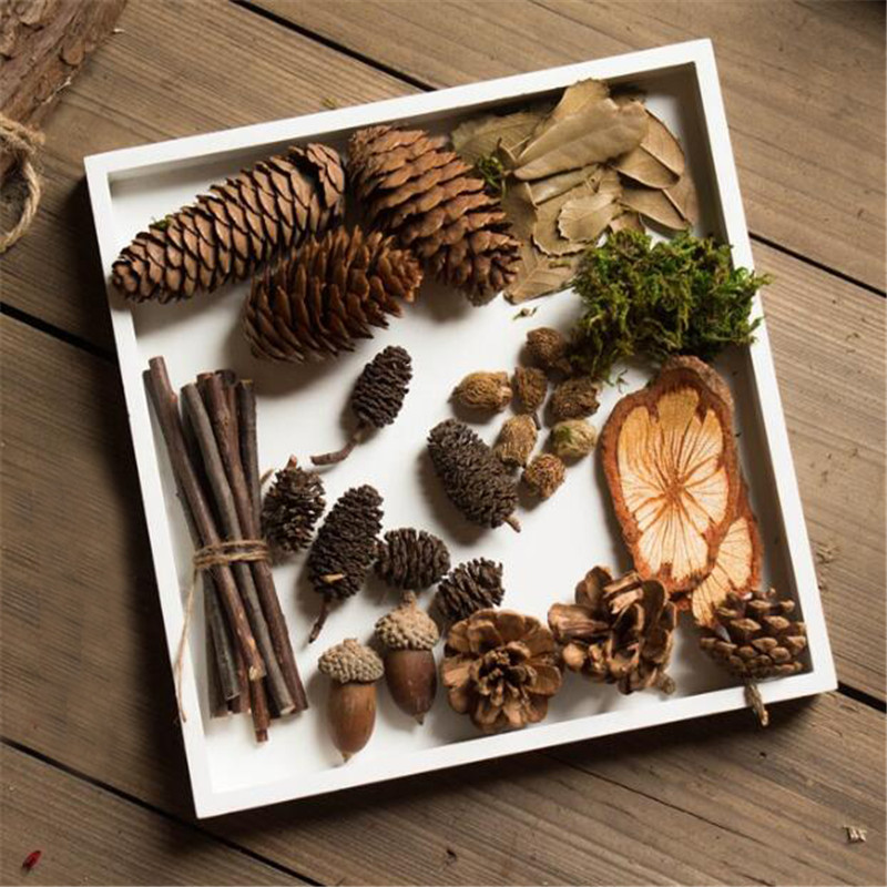 Artificial Plants Simulation Multi Type Natural Branches Acorn Fake Wood Plants DIY Package Photography Props Decoration, As picture
Artificial Plants Simulation Multi Type Natural Branches Acorn Fake Wood Plants DIY Package Photography Props Decoration, As picture