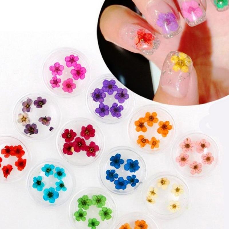 12 Colors Real Nail Lace Dried Flowers Leaf Nail Art Decoration DIY Tips Small Flowers Nails Stickers For Manicure Tools
12 Colors Real Nail Lace Dried Flowers Leaf Nail Art Decoration DIY Tips Small Flowers Nails Stickers For Manicure Tools