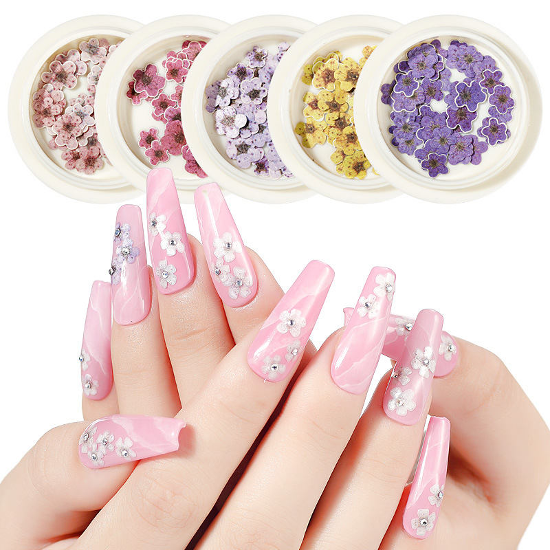 Manicure Color Small Flower Wood Pulp Sheet Ins Wind 12 Color Small Flower Manicure Patch Wood Pulp Sheet Nail Stickers
Manicure Color Small Flower Wood Pulp Sheet Ins Wind 12 Color Small Flower Manicure Patch Wood Pulp Sheet Nail Stickers