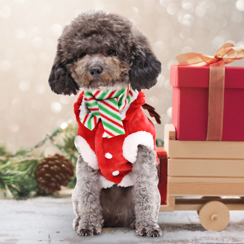 Dog Apparel Christmas Clothes Warm Pet Coat WIth Scarf Cat Costumes For Small Dogs Hoodies Halloween Puppy Jacket Chihuahua Sweater 35